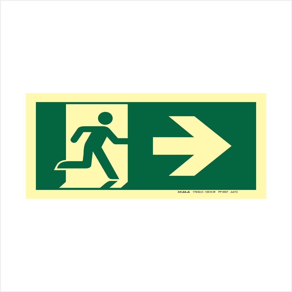 PLACA SAIDA SETA DIREITA - PP 0557 S1/S2